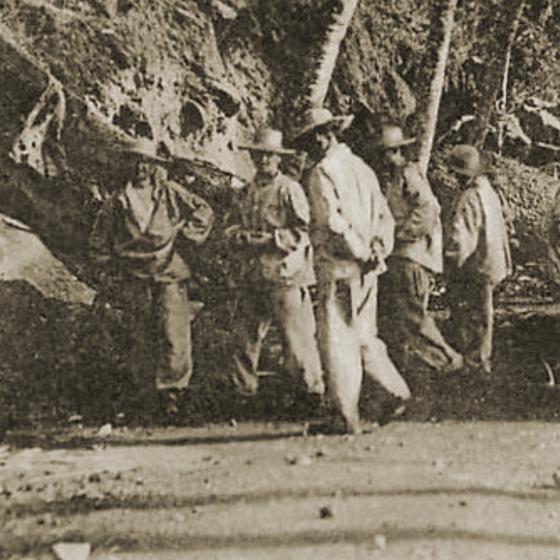 MARINIERE "CAYENNE LA BELLE" MANCHES COURTES